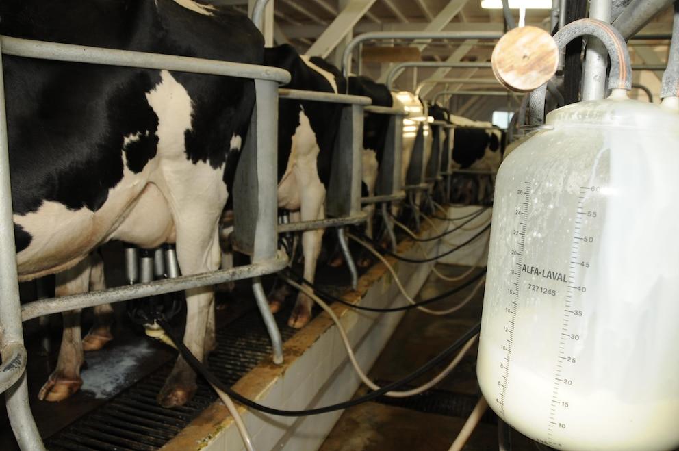 Despite the local crisis, dairy exports reached their highest level in 12 years