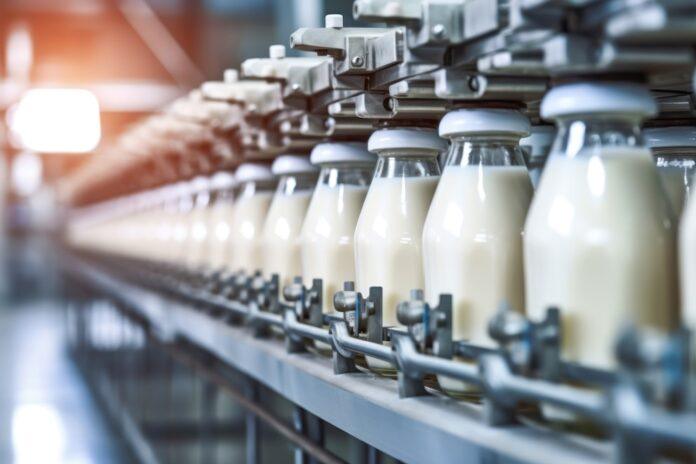 Despite the export record, the dairy chain faces negative margins and a growing number of companies in crisis