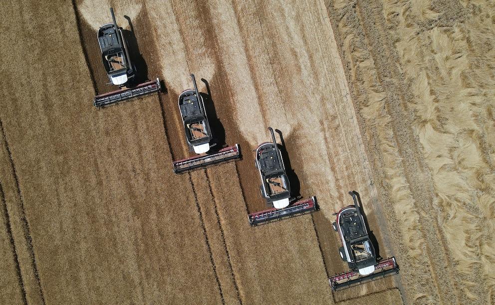 The doubt of savers: buy cheap dollars or bet on high rates in pesos