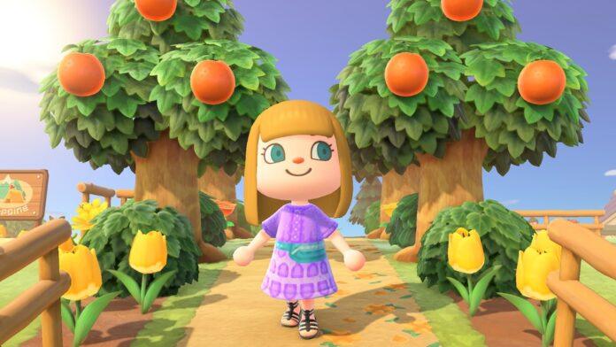 Animal Crossing: New Horizons, from Nintendo.