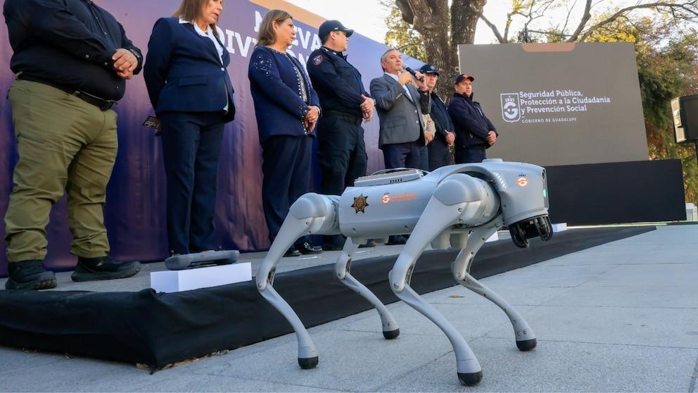 These are the robot dogs that will provide security during the 2026 World Cup