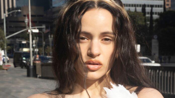 Rosalía remembered the time her ex-boyfriend offended her in the worst way.(DF Entertainment)